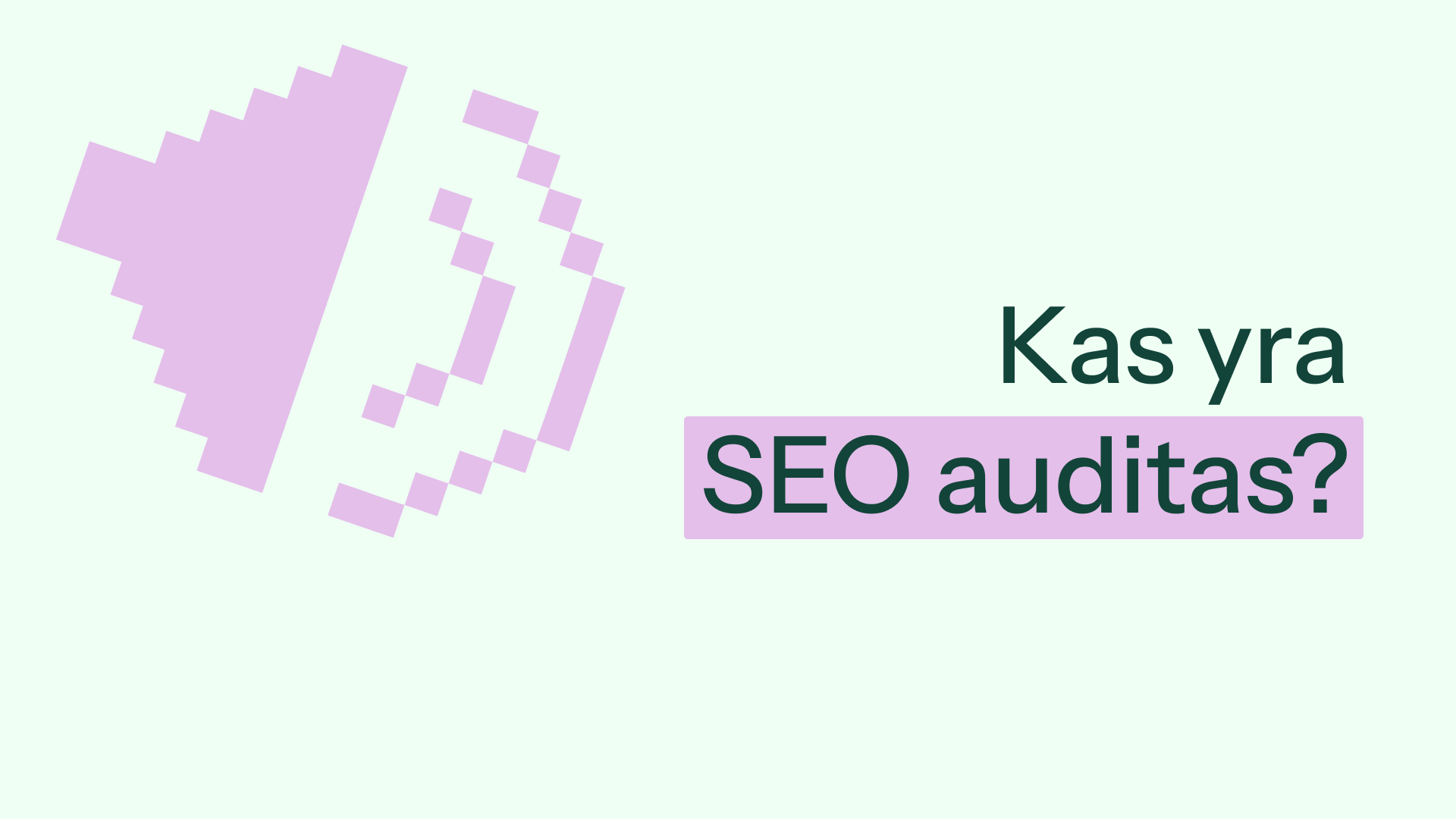 SEO auditas